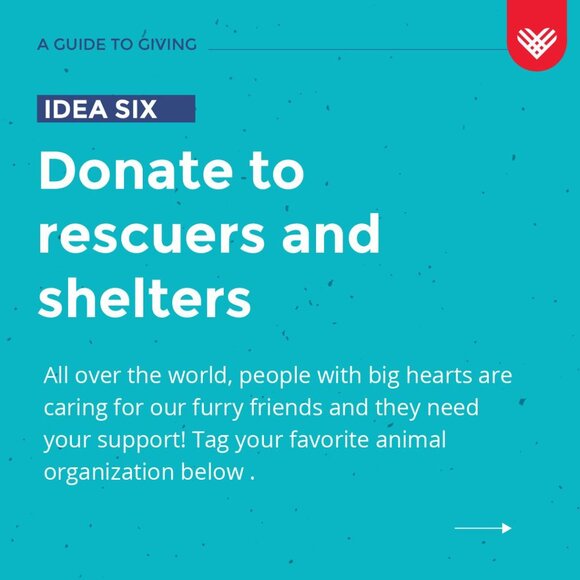 Eddie Bauer Navy Blue Zip-Up Cardigan with Pockets - Never worn - Picture 7 of 7